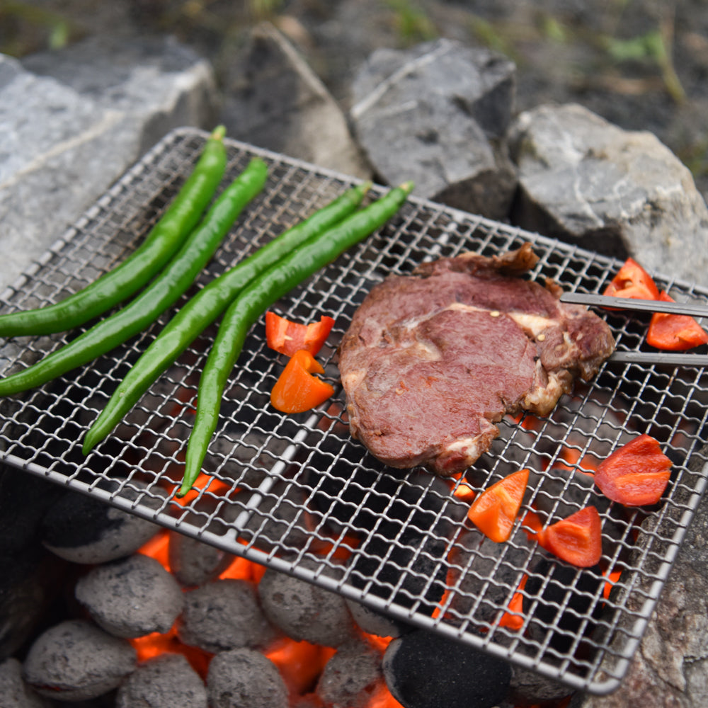 Titanium Barbecue Grill