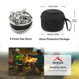 Camping Folding Gas Stove with 8800W